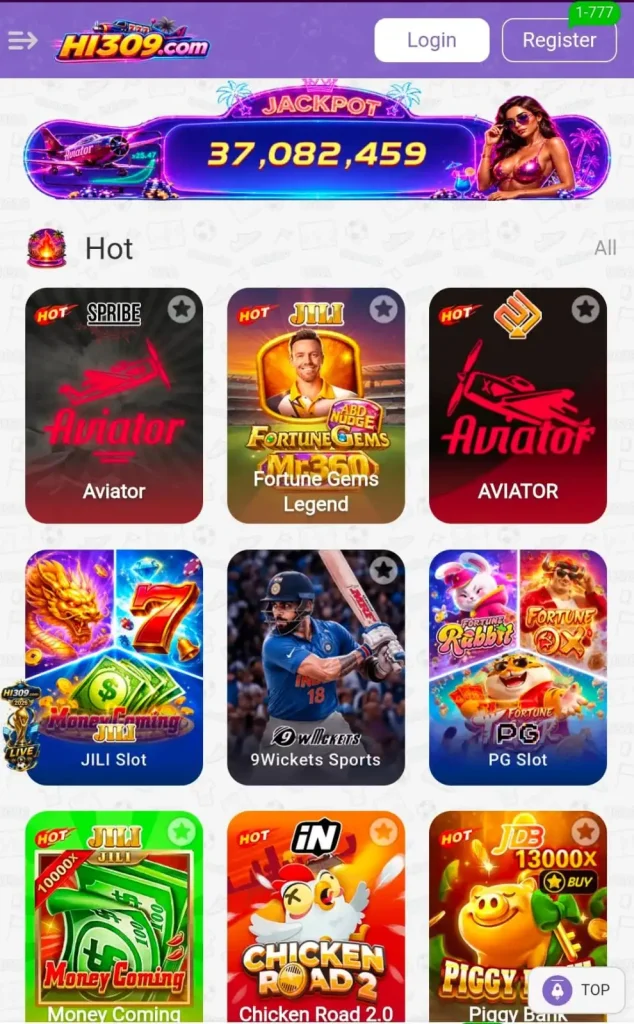 HI309 Game