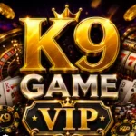 K9 Game